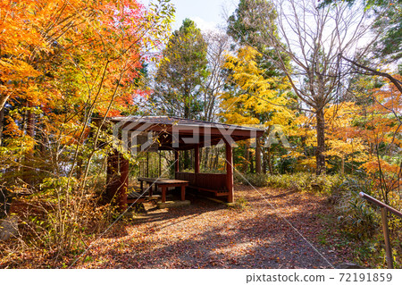 [Yamanashi Prefecture] Ishiwari Shrine approach 72191859