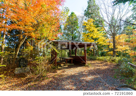 [Yamanashi Prefecture] Ishiwari Shrine approach 72191860