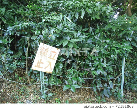 "No entry" into the forest 72191862