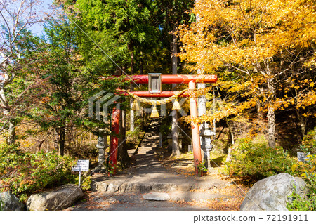 [Yamanashi Prefecture] Ishiwari Shrine 72191911
