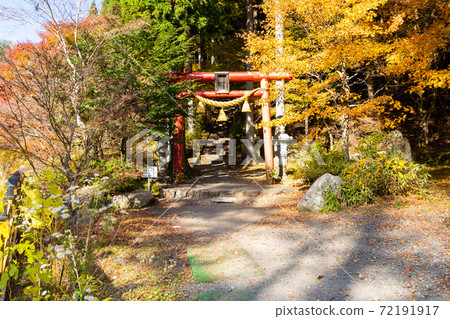 [Yamanashi Prefecture] Ishiwari Shrine 72191917