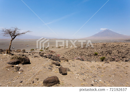 Lake Natron area landscape, Tanzania, Africa. Ol Doinyo Lengai volcano 72192637