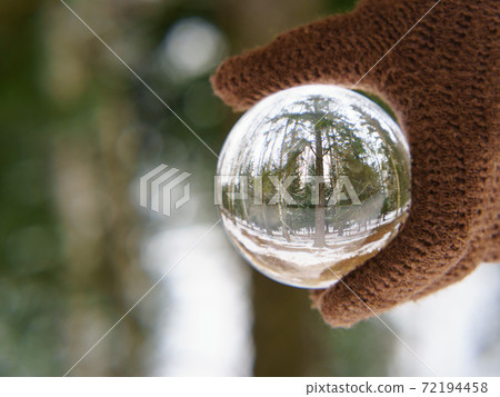 Photography of clear crystal ball. A hand put on a glove holds a ball. Evergreen Russian forest in white snow as background. Miracle green view. 72194458