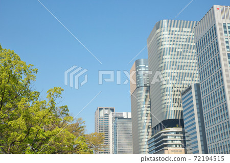 [Osaka Prefecture] Taken from the promenade in front of Osaka City Hall during the fresh green season in May 72194515