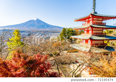 [Yamanashi Prefecture] Mt. Fuji, Chureito Pagoda, Chureito Pagoda, Autumn leaves 72195474