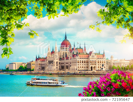 Flowers and Parliament 72195647