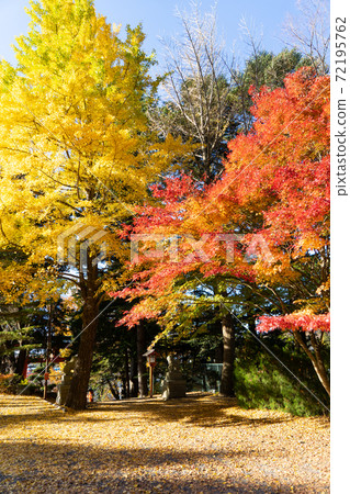 [山梨縣]新倉富士淺間神社 72195762