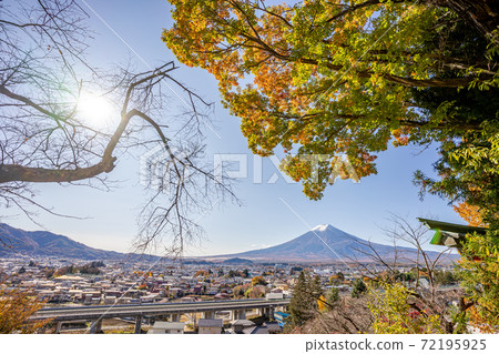 [Yamanashi Prefecture] Mt. Fuji, Arakurayama Sengen Park, Autumn leaves 72195925