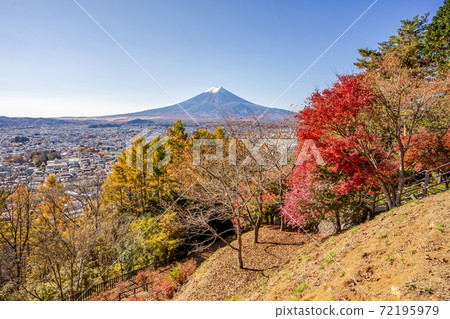 [Yamanashi Prefecture] Mt. Fuji, Arakurayama Sengen Park, Autumn leaves 72195979