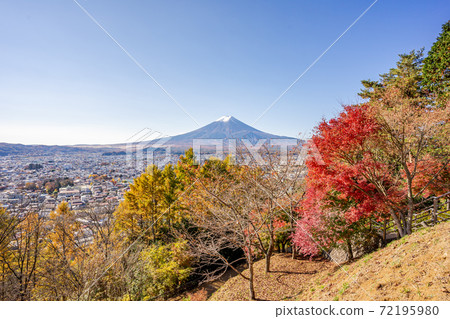 [山梨縣]富士山新倉山淺間公園秋葉 72195980