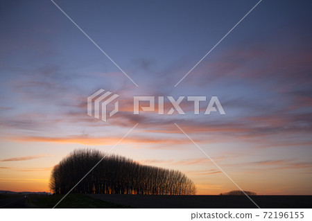 Sunset and silhouette 72196155