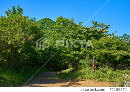 神奈川縣南蘆原市蘆原Pass口側近畿山步道上的日落瀑布交界處(井之花砲台遺址) 神奈川縣南蘆原市蘆原Pass口側近畿山步道上的日落瀑布交界處(井之花砲台遺址) 72196274