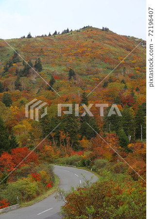 s松Pass s松Pass 72196407