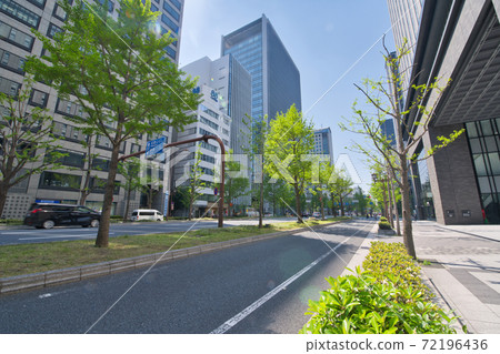[大阪府] 5月・穿過大阪市中心南北延伸的新鮮綠色季節的御堂筋 72196436