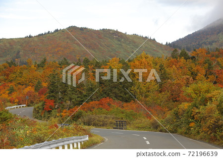 秋葉的Kasamatsu Pass 秋葉的Kasamatsu Pass 72196639
