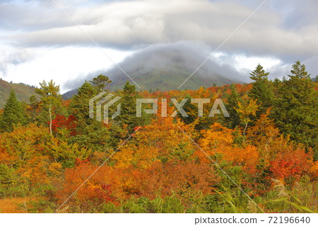 Suiren Numa Autumn Suiren Numa Autumn 72196640