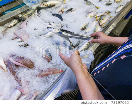 Young woman buying fresh fish at seafood stall Young woman buying fresh fish at seafood stall 72197023