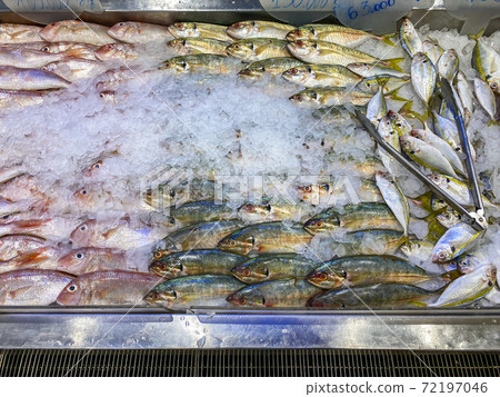 Raw frozen fish for sale at seafood supermarket 72197046