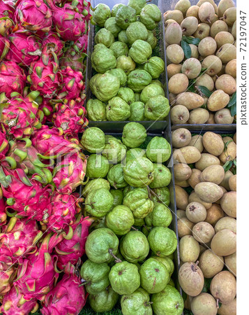 Pile of dragon fruit, mamey sapote and guava for 72197047