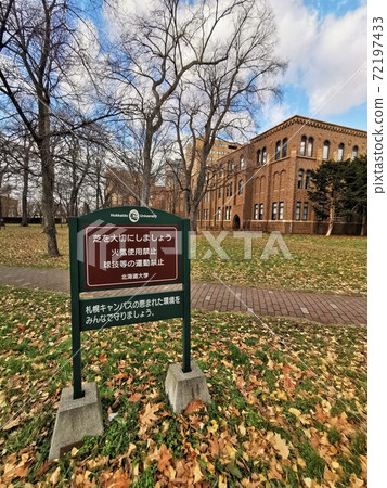 北海道大學札幌校區（北海道札幌市） 72197433