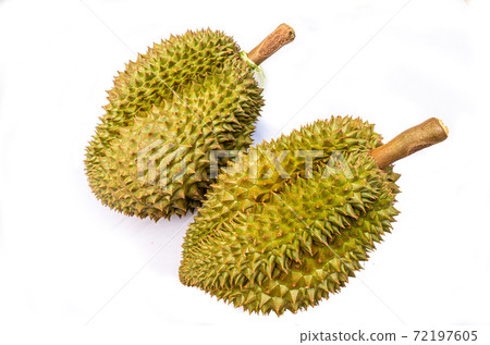 Monthong Durians on white background 72197605