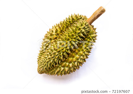 Monthong Durian on white background 72197607