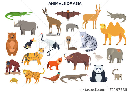 Modern Infographic Vector Template Modern Infographic Vector Template 72197786