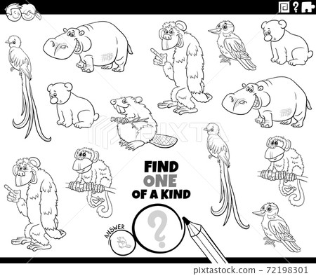 one of a kind task with cartoon animals coloring book page one of a kind task with cartoon animals coloring book page 72198301
