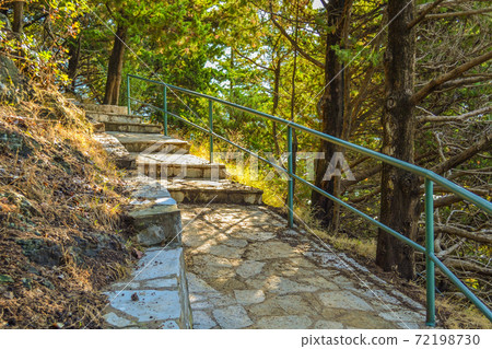 Stone staircase in a pine forest. Sunlight falls on the stone steps Stone staircase in a pine forest. Sunlight falls on the stone steps 72198730
