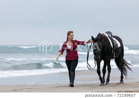 young woman on a horse on the beach young woman on a horse on the beach 72199607