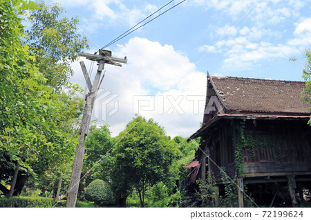 The old traditional Thai house with the tree is climb along the wall The old traditional Thai house with the tree is climb along the wall 72199624