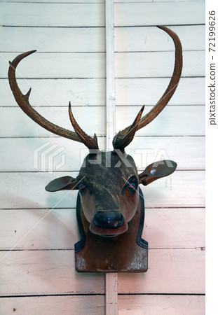 One of the headed horns on the head of an adult (usually male) deer 72199626