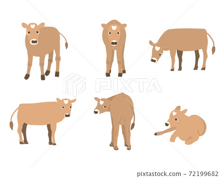 Variation set for calf jersey cow - Stock Illustration [72199682] - PIXTA