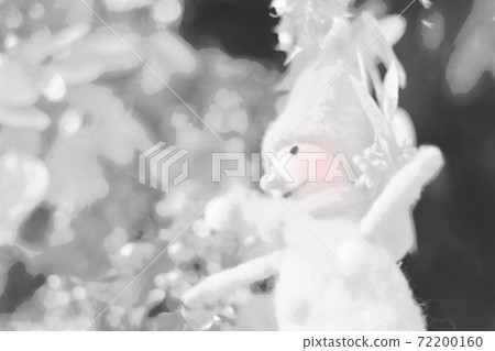 雪人聖誕節裝飾品用毛氈製成,黑白,水彩風格 雪人聖誕節裝飾品用毛氈製成,黑白,水彩風格 72200160