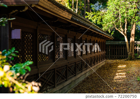 Autumn Kyoto Nashinoki Shrine 72200750