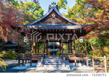 Autumn Kyoto Nashinoki Shrine 72200751