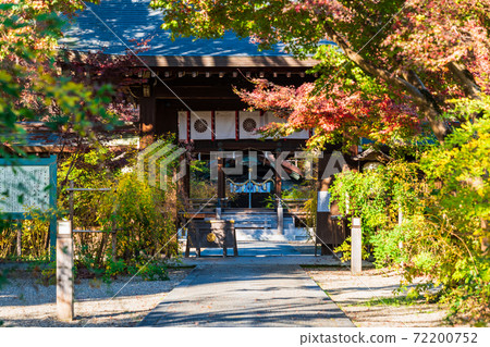 Autumn Kyoto Nashinoki Shrine 72200752
