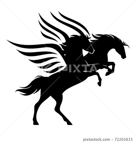 pair of winged pegasus horses black and white vector outline 72201615