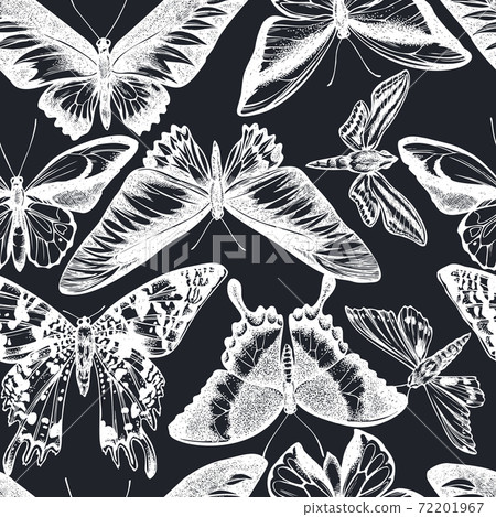 Seamless pattern with hand drawn chalk wallace s golden birdwing, ambulyx moth, white-banded hunter 72201967