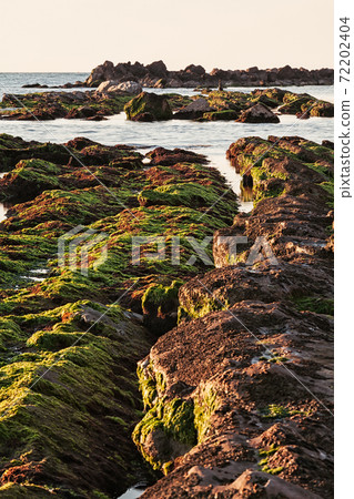 The passetto rocks at sunrise, Ancona, Italy The passetto rocks at sunrise, Ancona, Italy 72202404