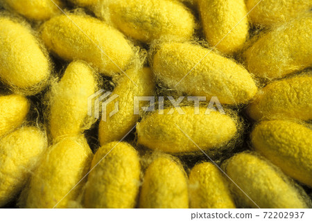 CAMBODIA PHNOM PENH SILK ISALND PRODUCTION CAMBODIA PHNOM PENH SILK ISALND PRODUCTION 72202937