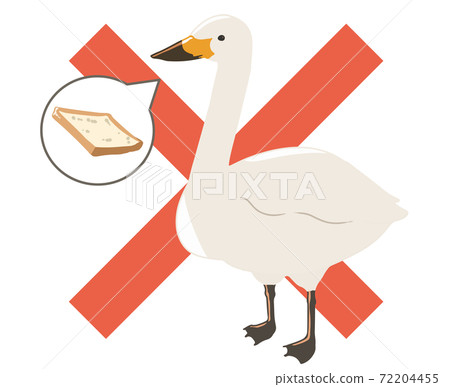 Whooper swan feeding prohibited (no line) 72204455