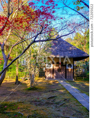 秋葉和大溪島（垂直） 72205022