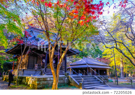 Half-priestess of autumn leaves 72205026