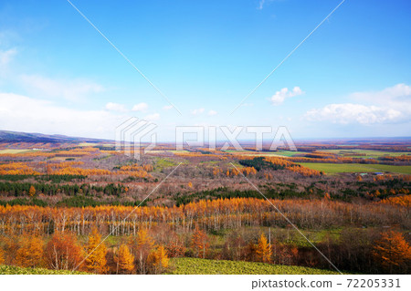 Kaiyodai Observation Deck in Autumn, Notsuke Peninsula, Kunsugou, Nakashibetsu Town, Hokkaido Kaiyodai Observation Deck in Autumn, Notsuke Peninsula, Kunsugou, Nakashibetsu Town, Hokkaido 72205331