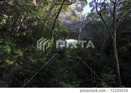 Breaststone 72205658