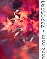 Autumn leaves that overflow and deepen in the early winter morning ③ 72205693
