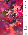 Autumn leaves that overflow and deepen in the early winter morning ⑤ 72205695