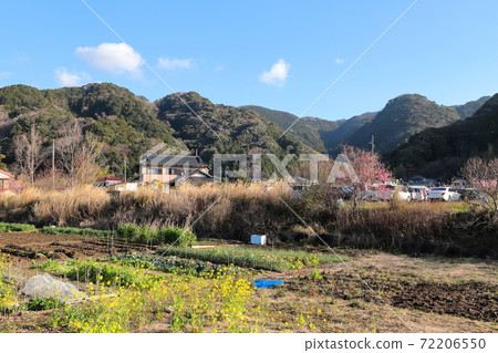 靜岡縣川津町初春的原始風景 靜岡縣川津町初春的原始風景 72206550