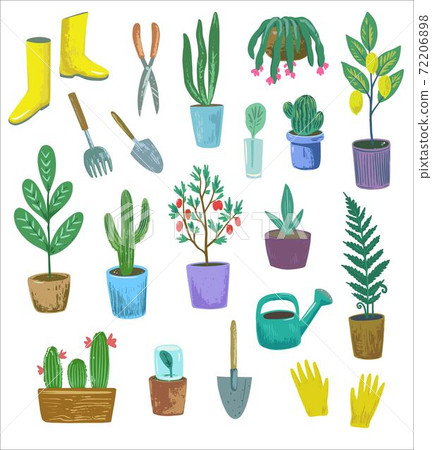 Set with home plants in the pots and gardening equipment. 72206898